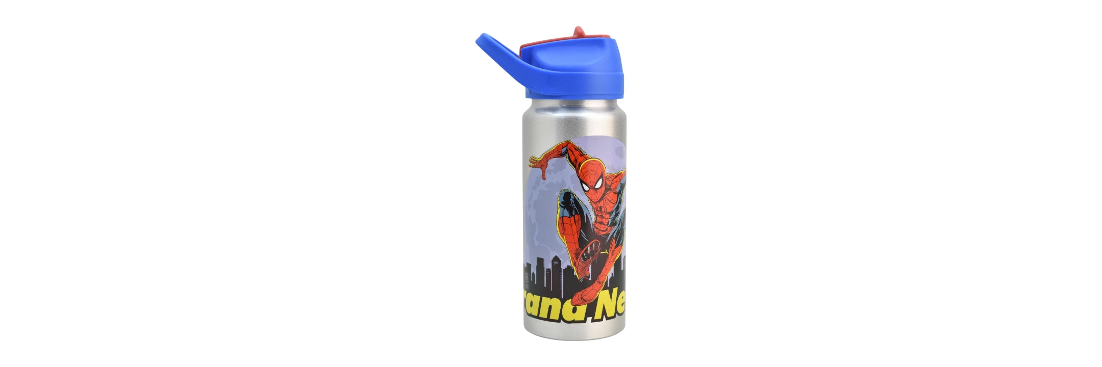 BOTELLA DE ALUMINIO 600ML CVE1669-4199