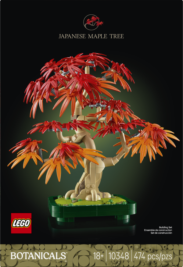 BONSaI DE ARCE ROJO JAPONeS 10348