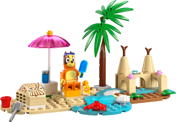 BLUEY EXCURSIoN FAMILIAR A LA PLAYA DE BLUEY 11202