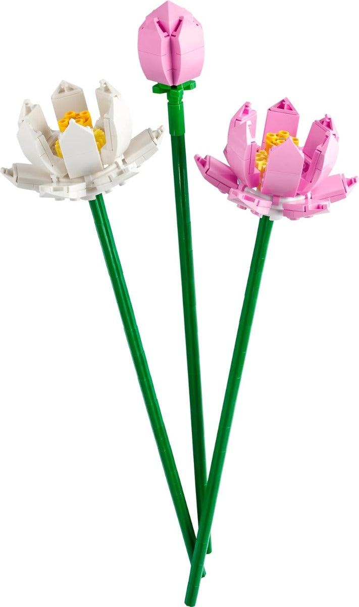 Lego Iconic 40647 Flores de Loto Regalo Floral