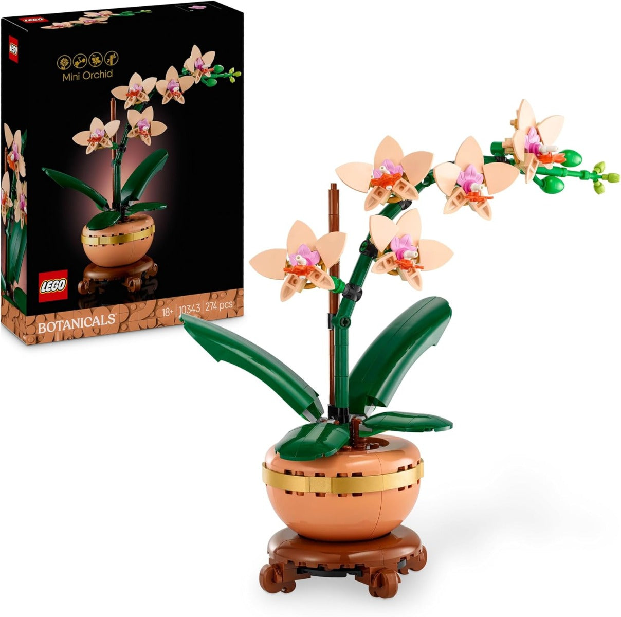 BOTANICA MINIORQUÍDEA 10343