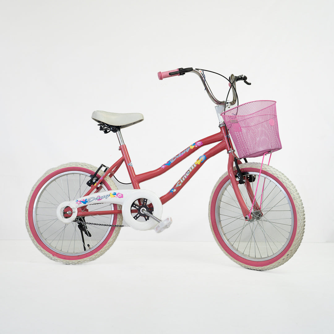 Cinelli Dany R-20 Bicycle V-brake