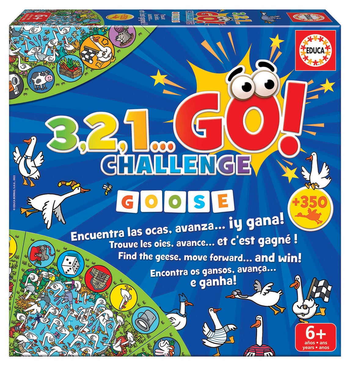 Go Challenge Goose