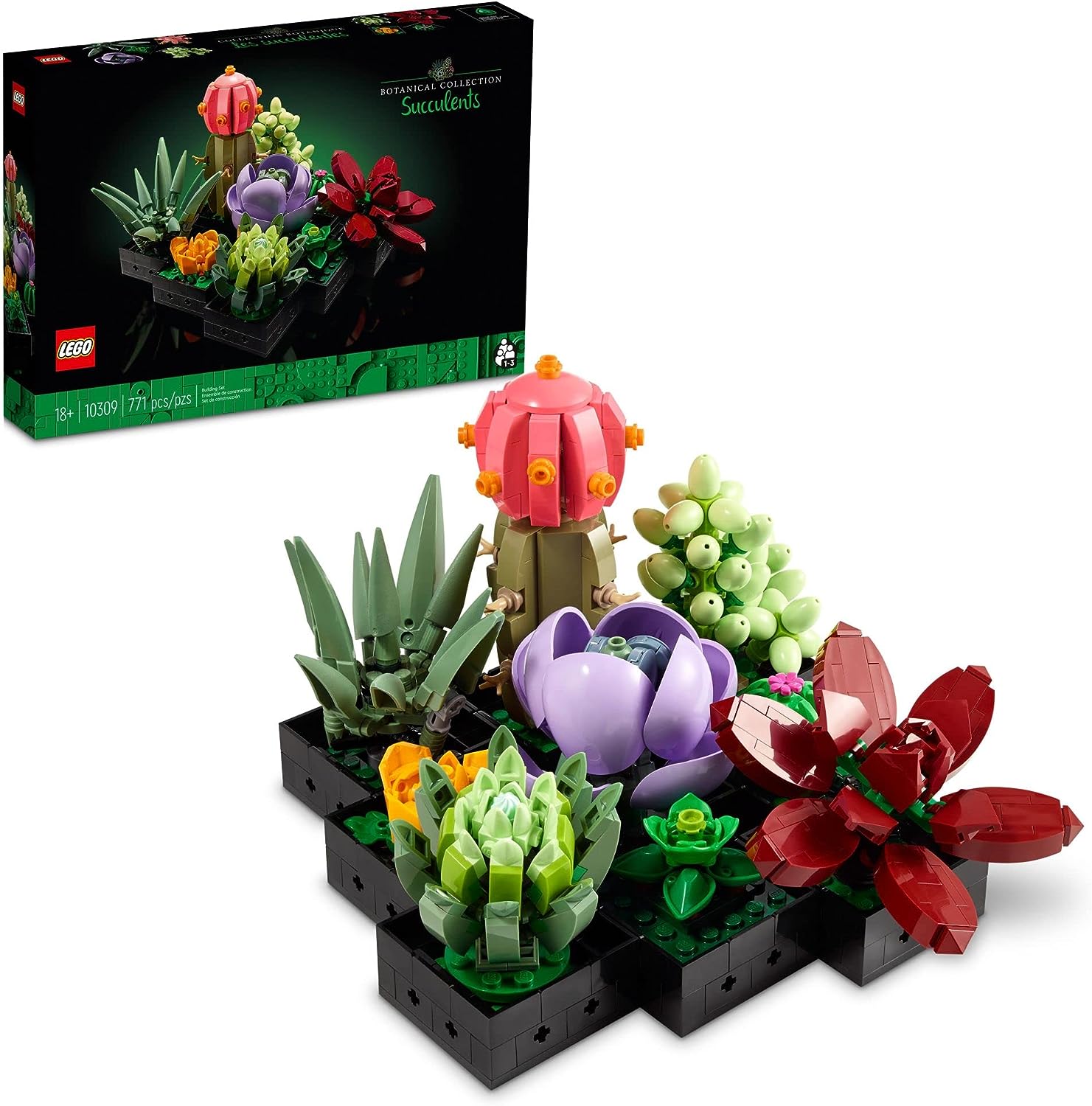 BOTANICA SUCULENTAS 10309
