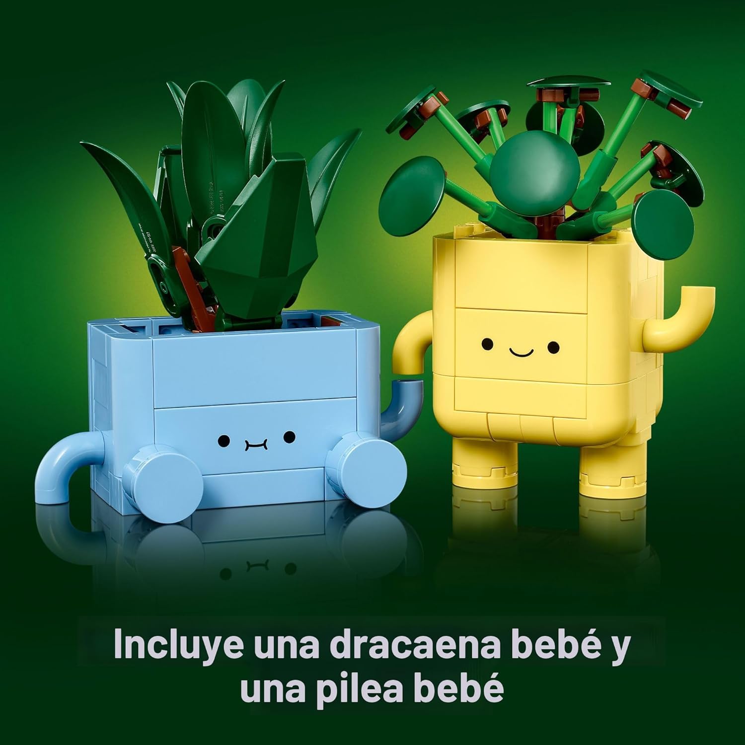 BOTANICA PLANTAS FELICES 10349