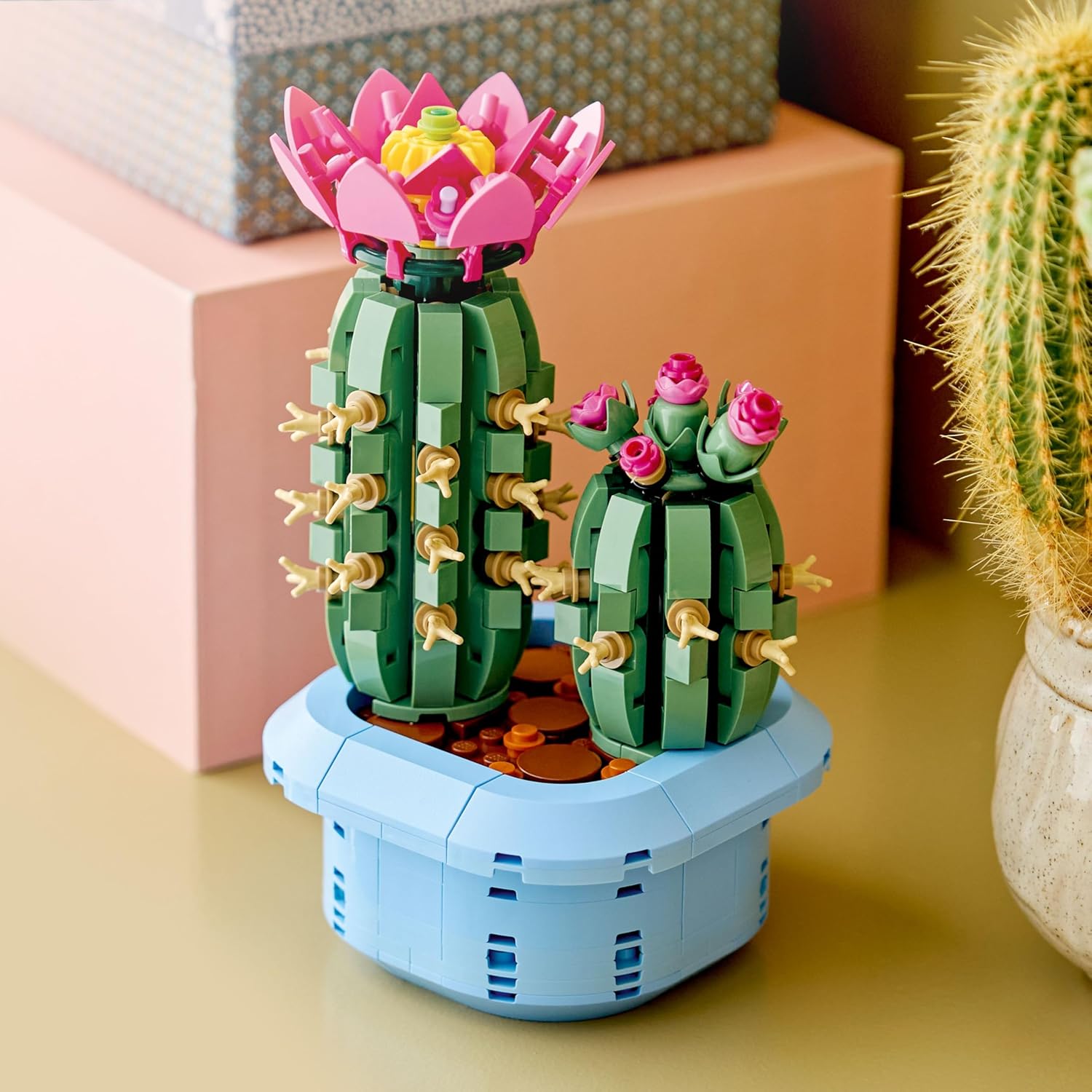 BOTANICA CAPTUS EN FLOR 11509