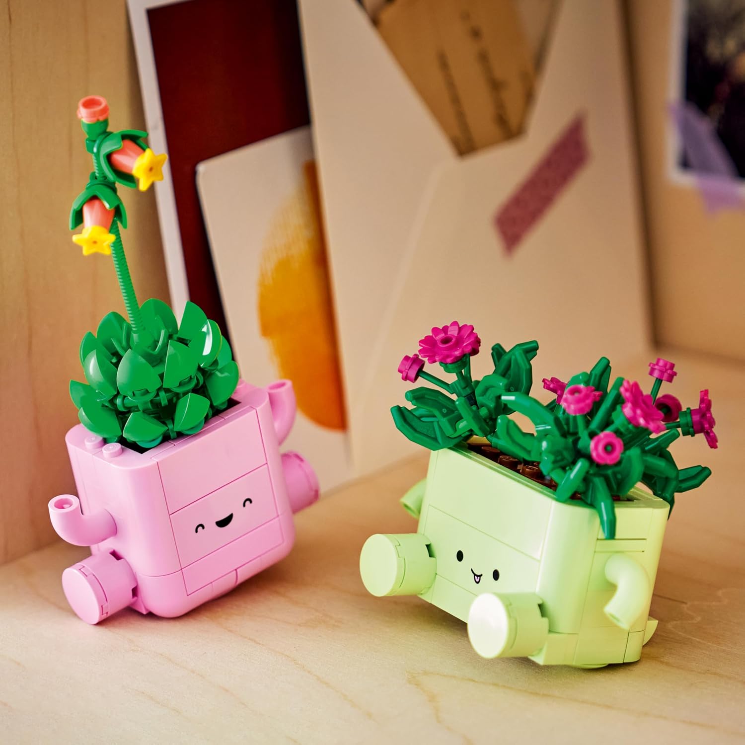 BOTANICA PLANTAS BAILARINAS 11506