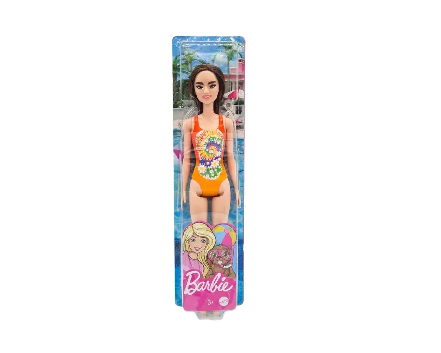 Barbie Beach Surprise Dolls DWJ99