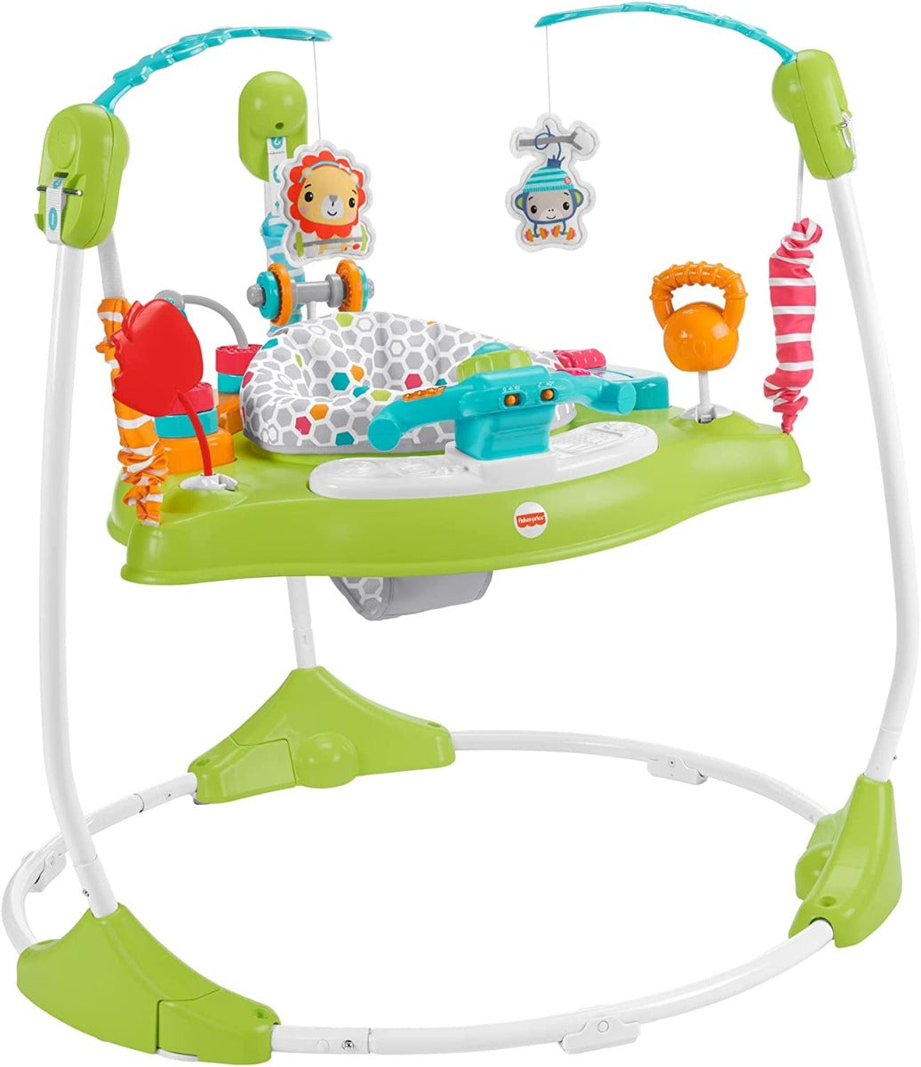 Fisher-Price Baby Bouncer Gym Fun