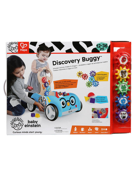 Hape Fun Toy Walker