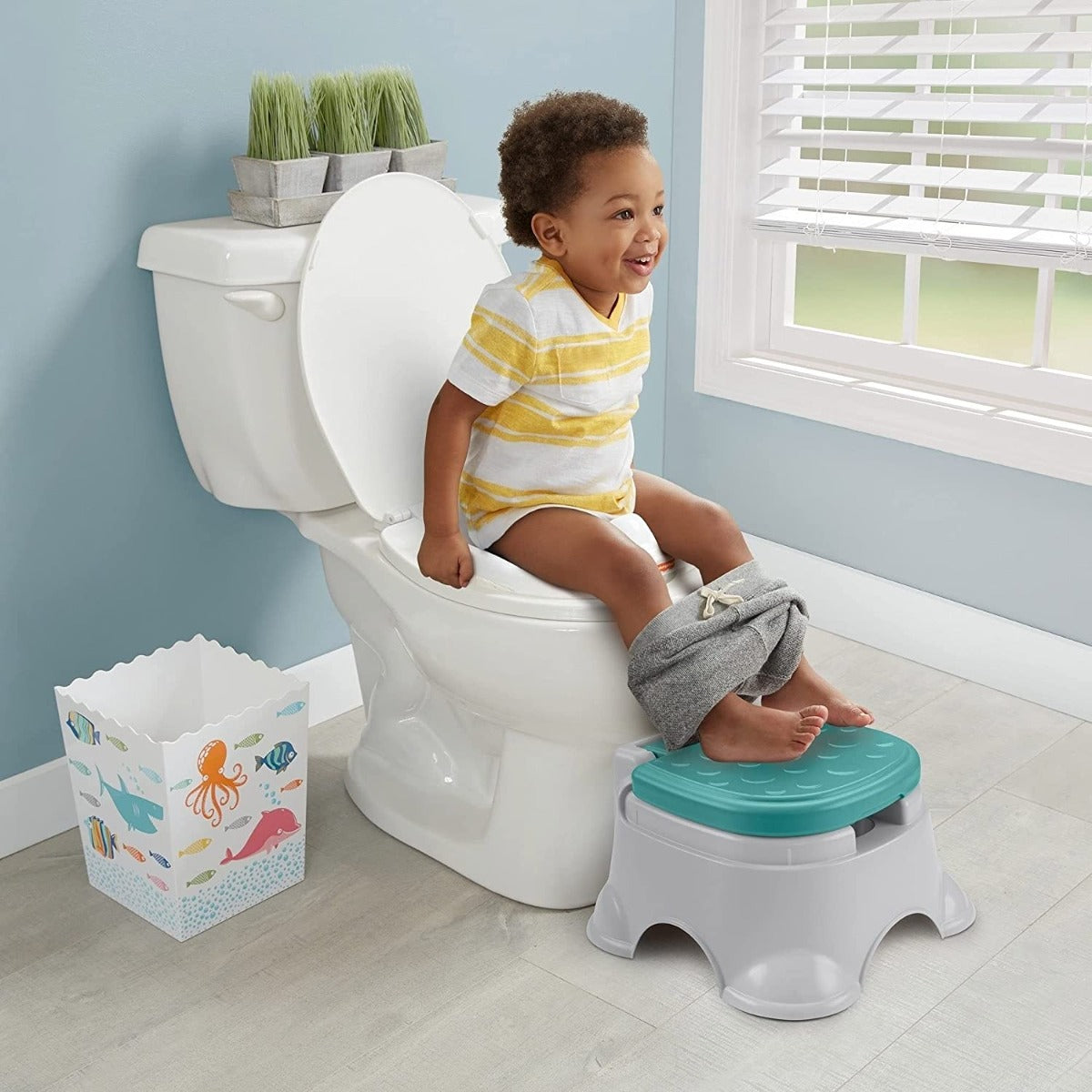 Fisher Price 3 in 1 Potty