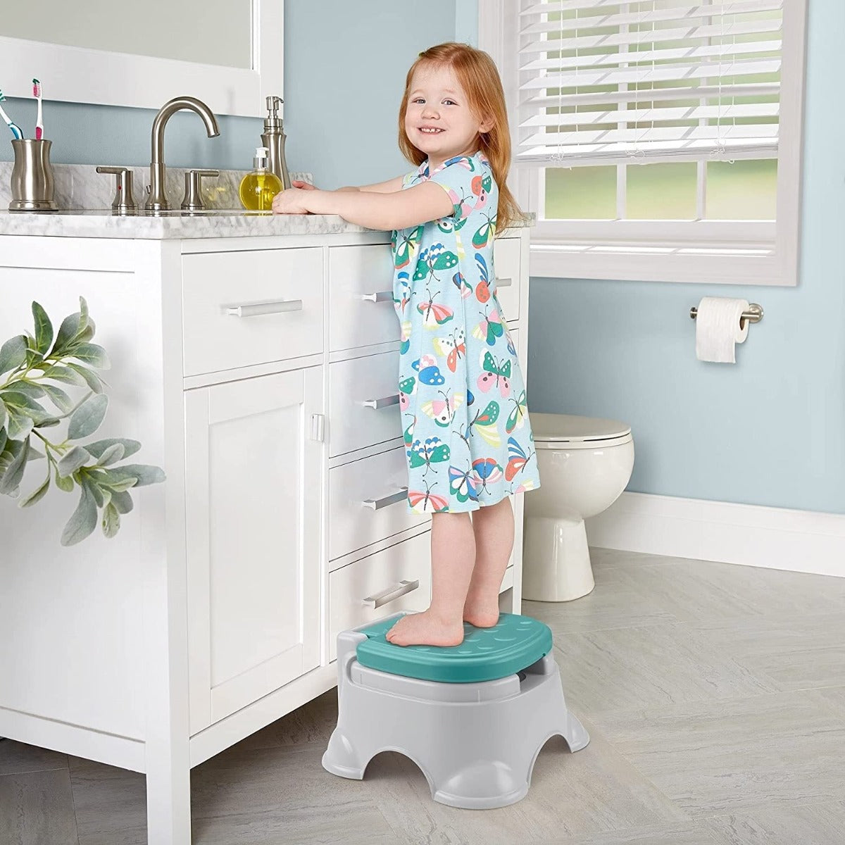 Fisher Price 3 in 1 Potty