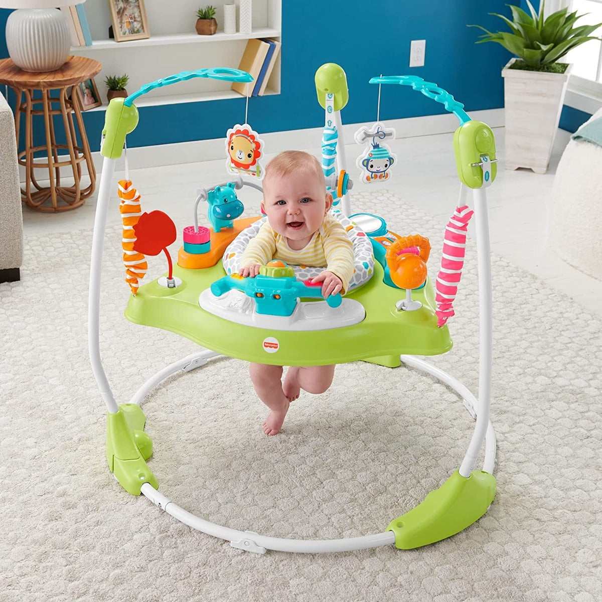 Fisher-Price Baby Bouncer Gym Fun