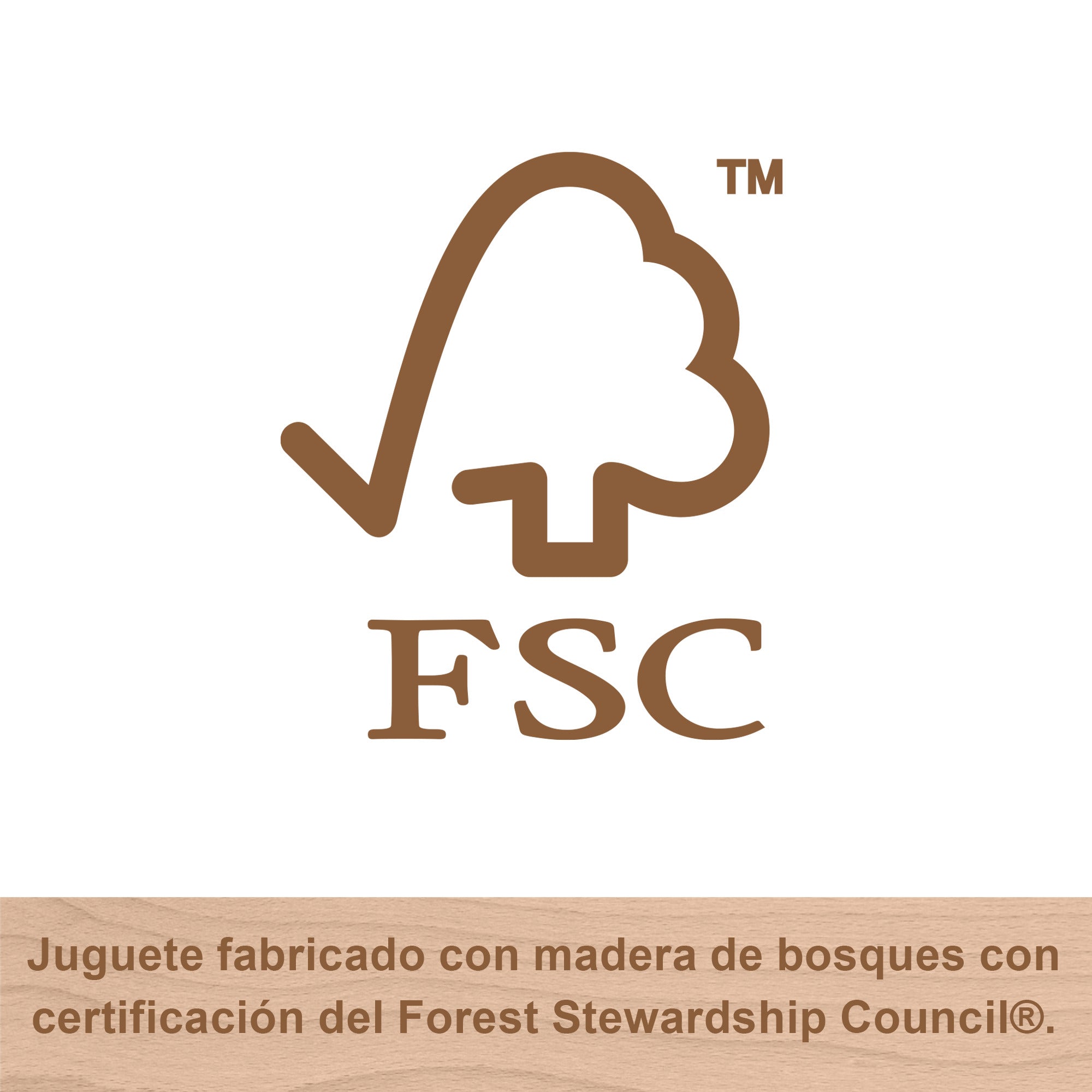 F P W JUGUETE CLASIFICADOR DE FORMAS DE MADERA HXV05
