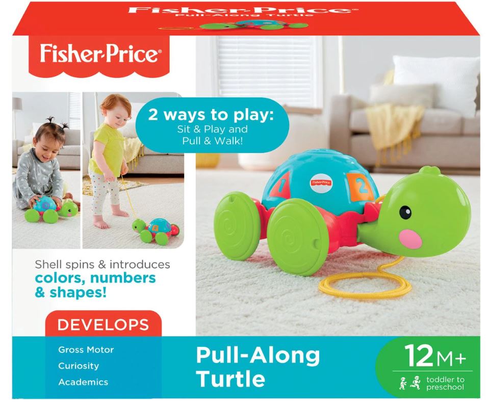 FP LEARNING TURTLE Y8652